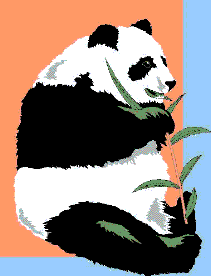 Irgendwie sind Pandas doch s��