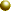 gelbes Kn&ouml;pfchen
